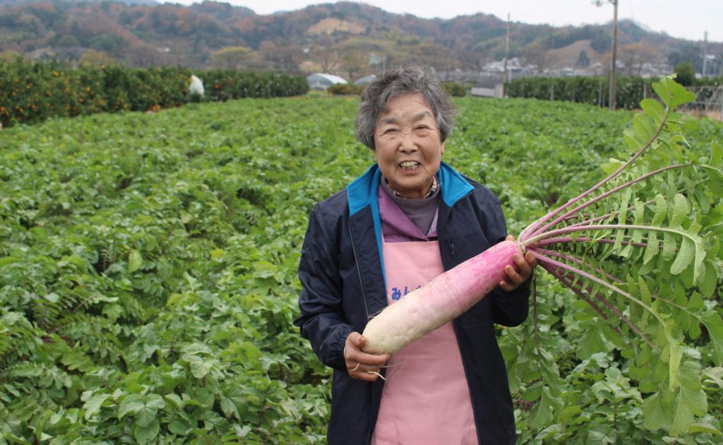 庄大根生産農家 坂本 信子さん | まつやまさんちの食卓 | マルっと まつやま