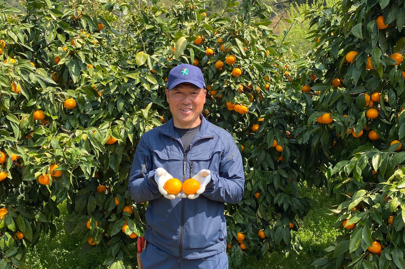 カラマンダリン生産農家 池本真吾さん まつやまさんちの食卓 マツヤマルシェ