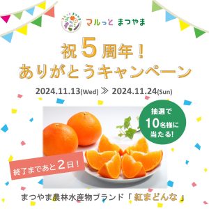 あと2日！「祝5周年！ありがとうキャンペーン」開催中 | マルっと まつやま