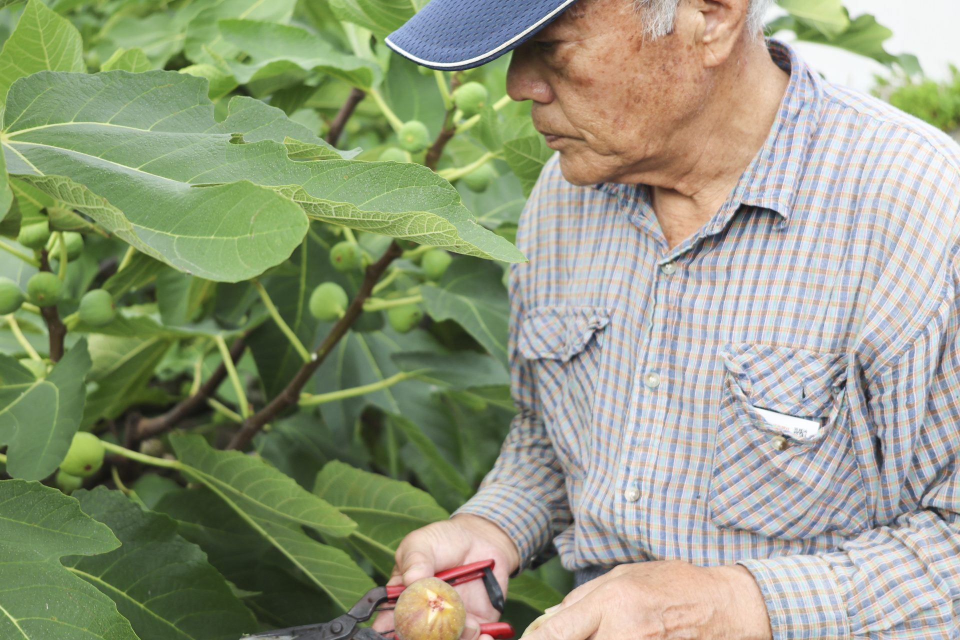 荻山増男さん・智恵子さんご夫妻