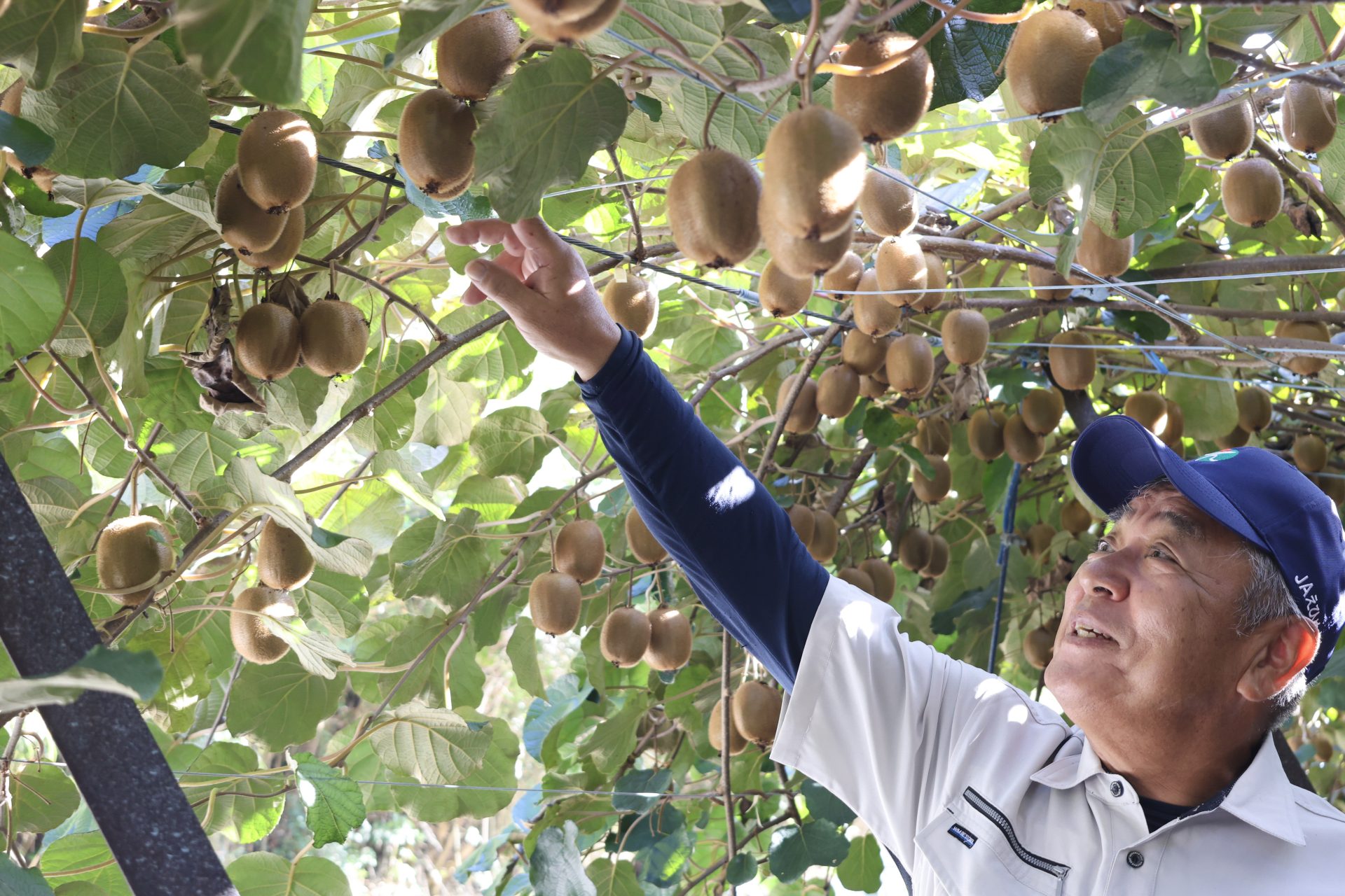 俵原秀作さん・美和子さんご夫妻
